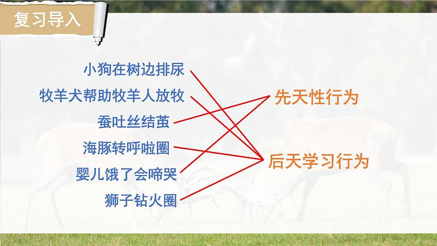 北師大版八上生物16.2《動(dòng)物行為的主要類型》課件第1頁