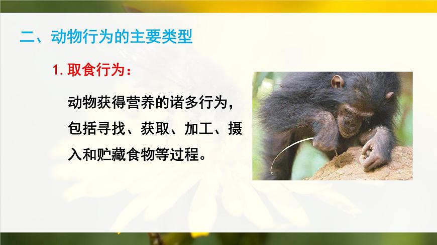 北師大版八上生物 第16章《動物的行為》 章節(jié)綜合與測試 PPT課件第4頁