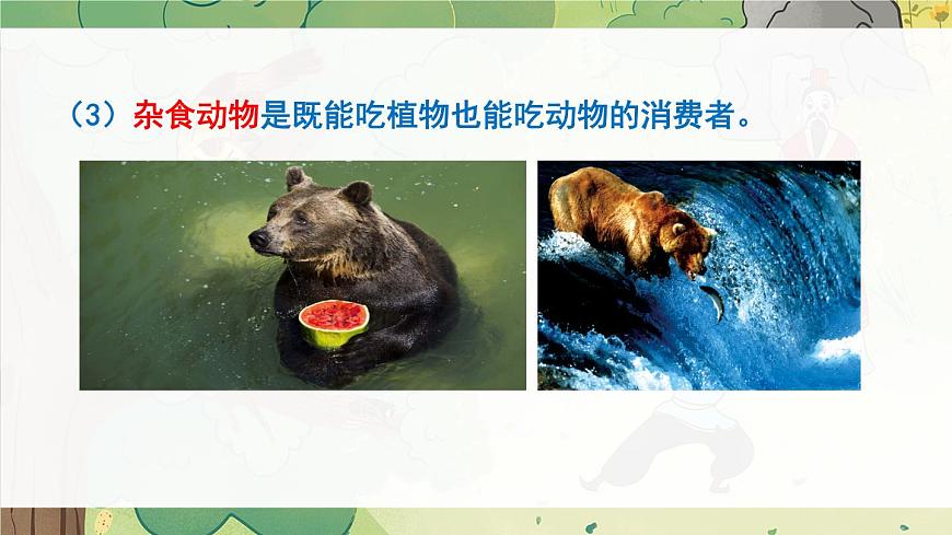 北師大版八上生物17.1《動(dòng)物在生物圈中的作用》課件第6頁(yè)