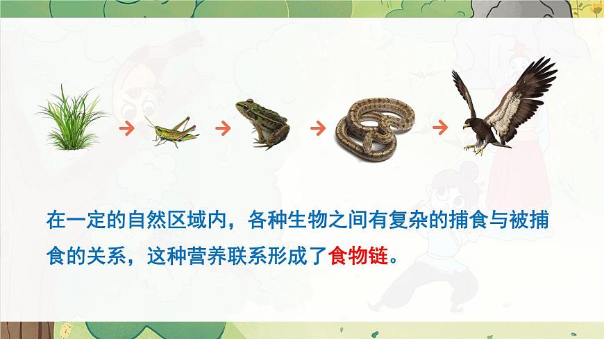 北師大版八上生物17.1《動(dòng)物在生物圈中的作用》課件第8頁(yè)