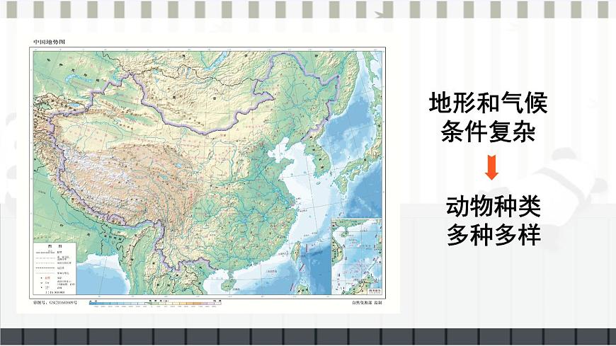 第2節(jié) 我國的動(dòng)物資源及保護(hù) 課件第4頁