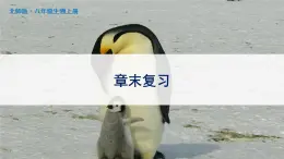 北师大版八上生物 第19章《生物的生殖和发育》 章节综合与测试 PPT课件