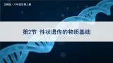 北师大版八上生物20.2《性状遗传的物质基础》 課件+视频