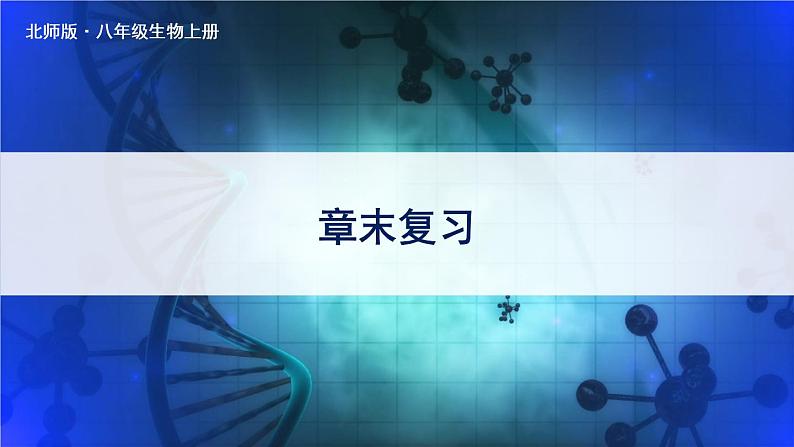 北师大版八上生物 第20章《生物的遗传和变异》 章节综合与测试 PPT课件第1页