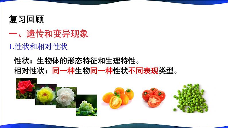 北师大版八上生物 第20章《生物的遗传和变异》 章节综合与测试 PPT课件第2页