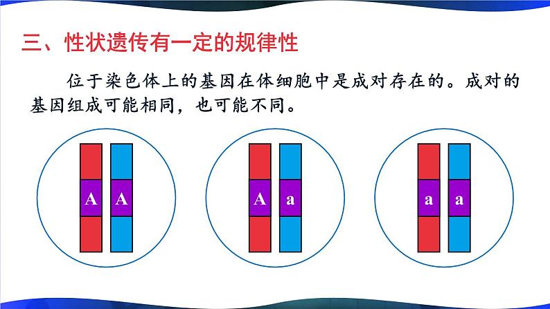 北师大版八上生物 第20章《生物的遗传和变异》 章节综合与测试 PPT课件第8页