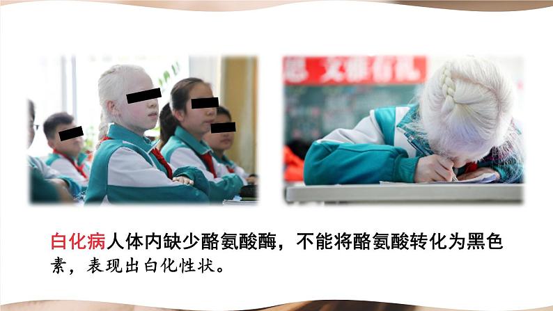 北师大版八上生物20.6《遗传病和人类健康》 课件+视频02