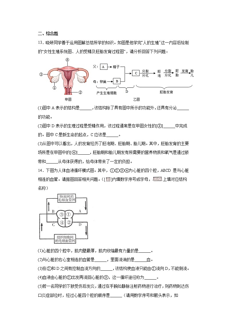 辽宁省沈阳市和平区2021-2022学年七年级下学期期末生物试题(含答案)03