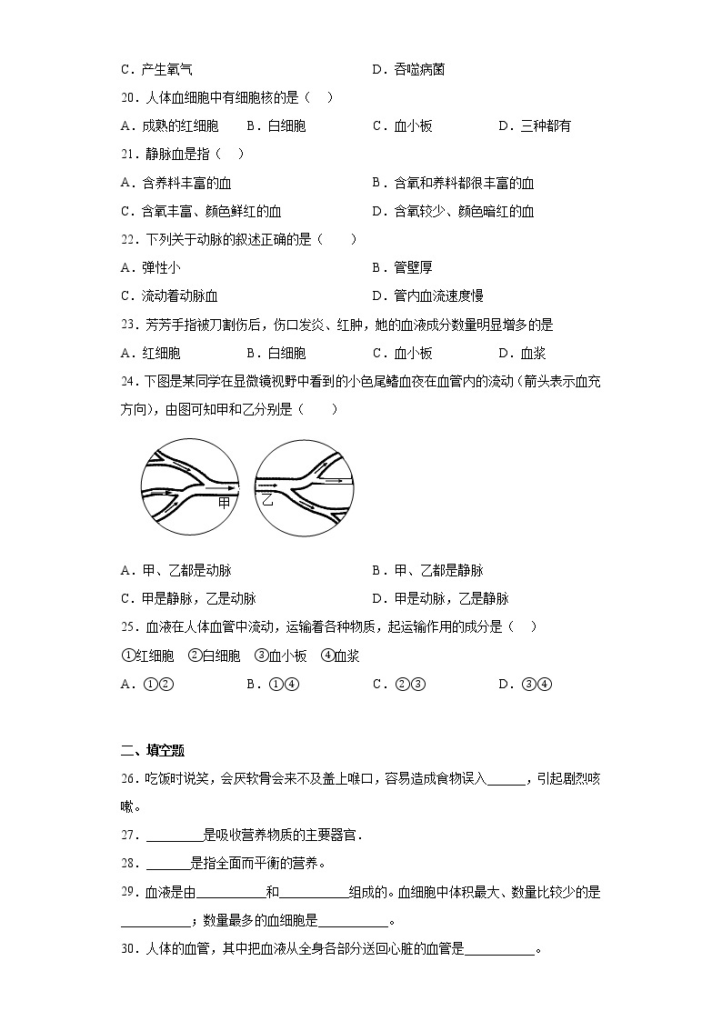 黑龙江省绥化市北林区2021-2022学年六年级下学期期中生物试题(含答案)03