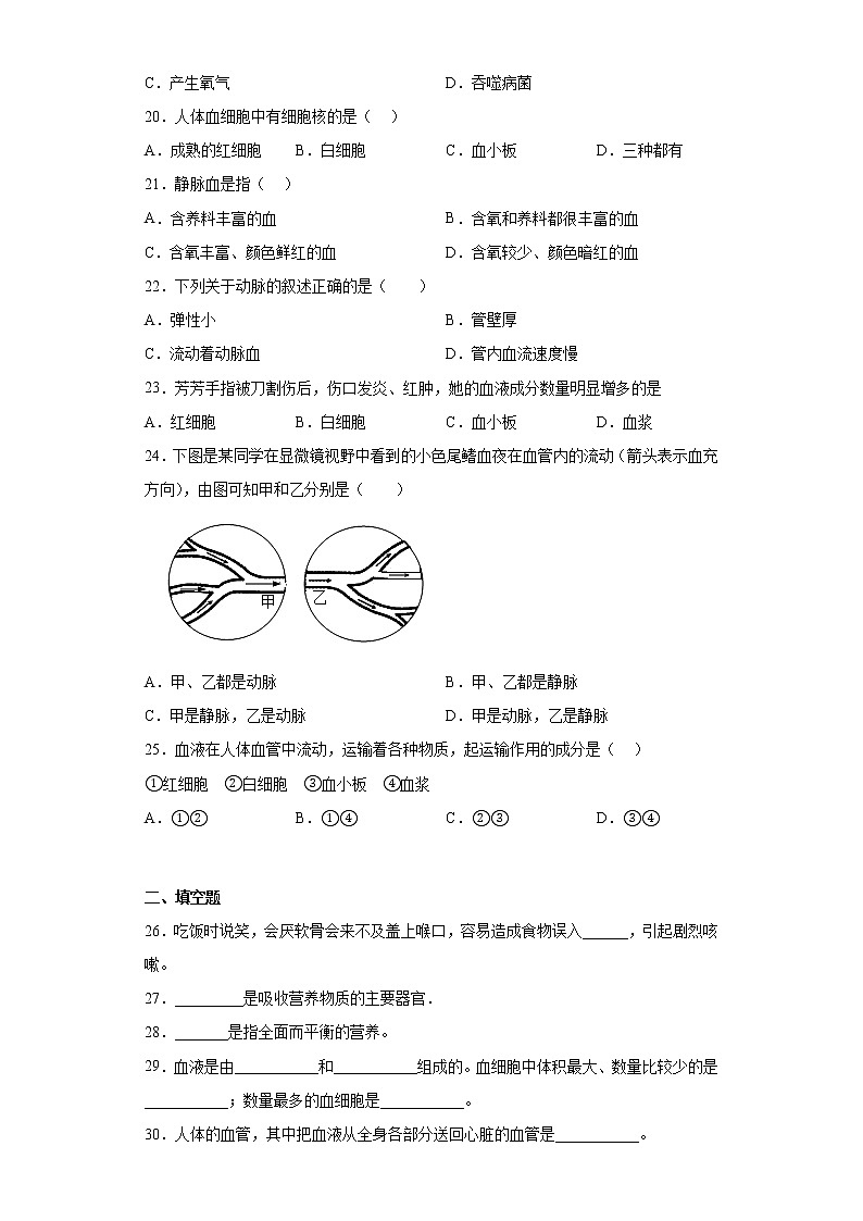 黑龙江省绥化市北林区2021-2022学年六年级下学期期中生物试题(含答案)第3页