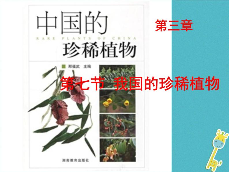 初中生物冀少版 七年级上册 1.3.7 我国的珍稀植物 课件02