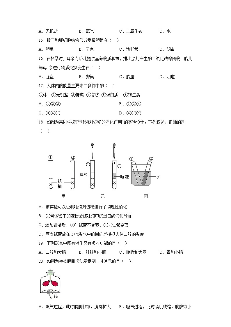 黑龙江省大庆市龙凤区2021-2022学年七年级下学期期中生物试题(含答案)第3页
