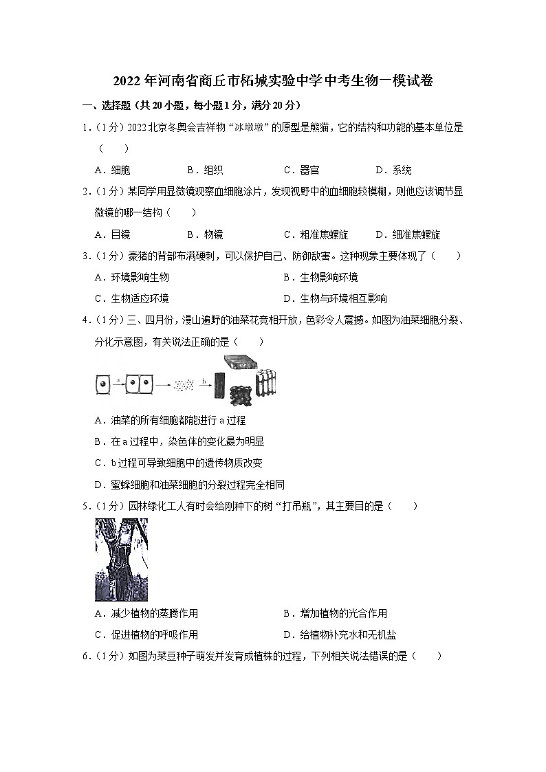 2022年河南省商丘市柘城实验中学中考生物一模试卷(含答案)01