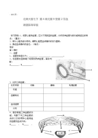 2021学年第2节 血液循环学案