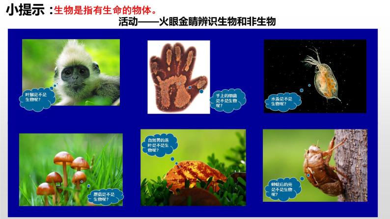 2022苏科版生物《生物与生物学》课件05