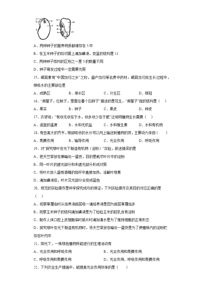 黑龙江省大庆市高新区学校2021-2022学年七年级（五四学制）下学期期中生物试题(含答案)03