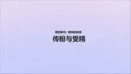 生物济南版八年级上册同步教学课件第4单元 物种的延续第1章绿色开花植物的一生第2节传粉与受精