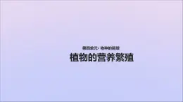 生物济南版八年级上册同步教学课件第4单元 物种的延续第1章绿色开花植物的一生第7节植物的营养繁殖