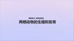 生物济南版八年级上册同步教学课件第4单元 物种的延续第2章动物的生殖和发育第2节两栖动物的生殖和发育