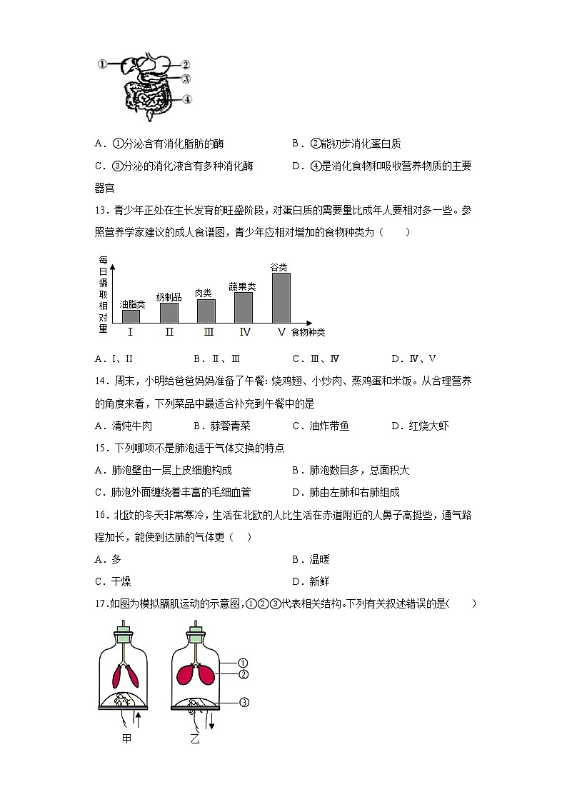 湖南省张家界市桑植县2021-2022学年七年级下学期期中生物试题(含答案)第3页