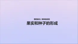 生物济南版八年级上册同步教学课件第4单元 物种的延续第1章绿色开花植物的一生第3节果实和种子的形成