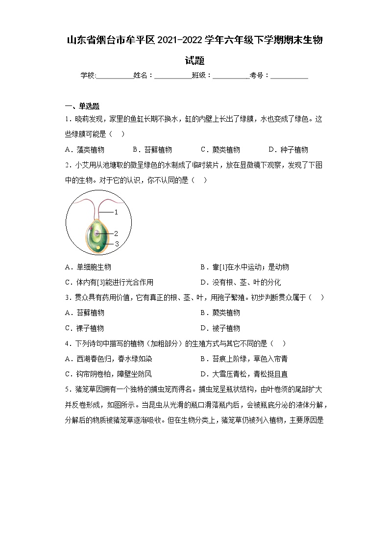 山东省烟台市牟平区2021-2022学年六年级下学期期末生物试题(含答案)