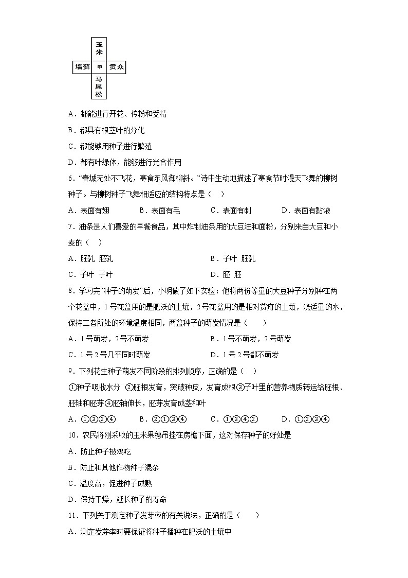 山东省淄博市周村区(五四制)2021-2022学年六年级下学期期中生物试题(含答案)第2页