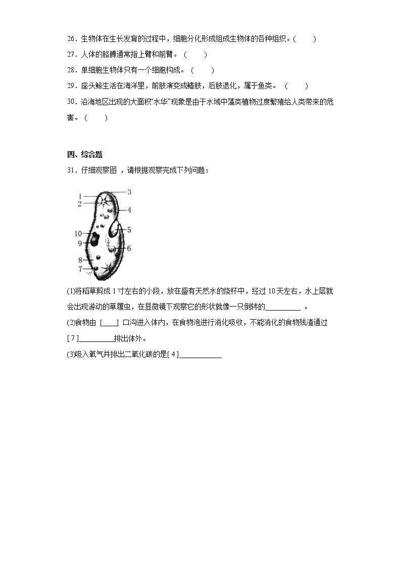 陕西省宝鸡市陇县2021-2022学年七年级下学期期中生物试题(含答案)03