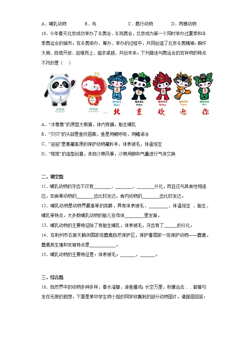 5.1.7哺乳动物同步练习人教版生物八年级上册02