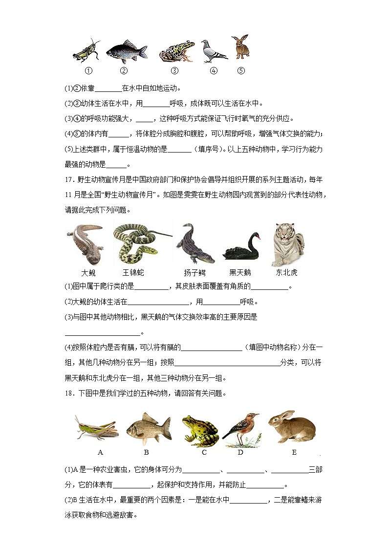 5.1.7哺乳动物同步练习人教版生物八年级上册03