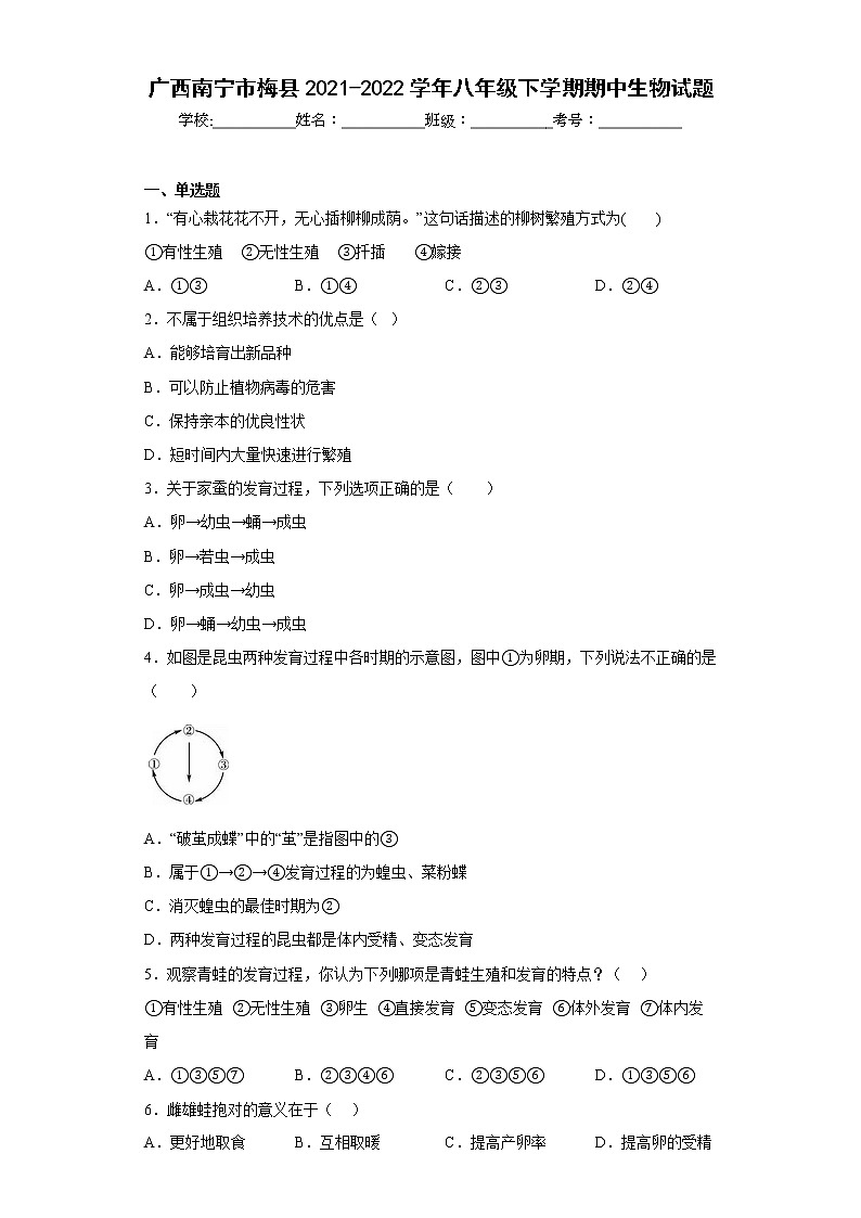 广西南宁市梅县2021-2022学年八年级下学期期中生物试题(含答案)01