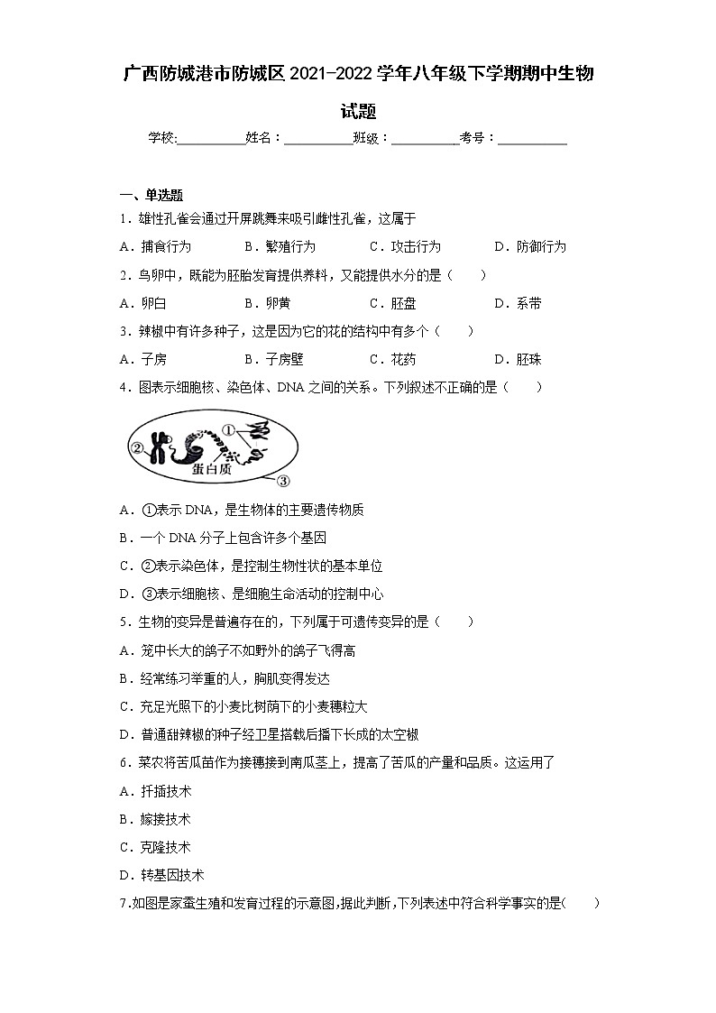 广西防城港市防城区2021-2022学年八年级下学期期中生物试题(含答案)01