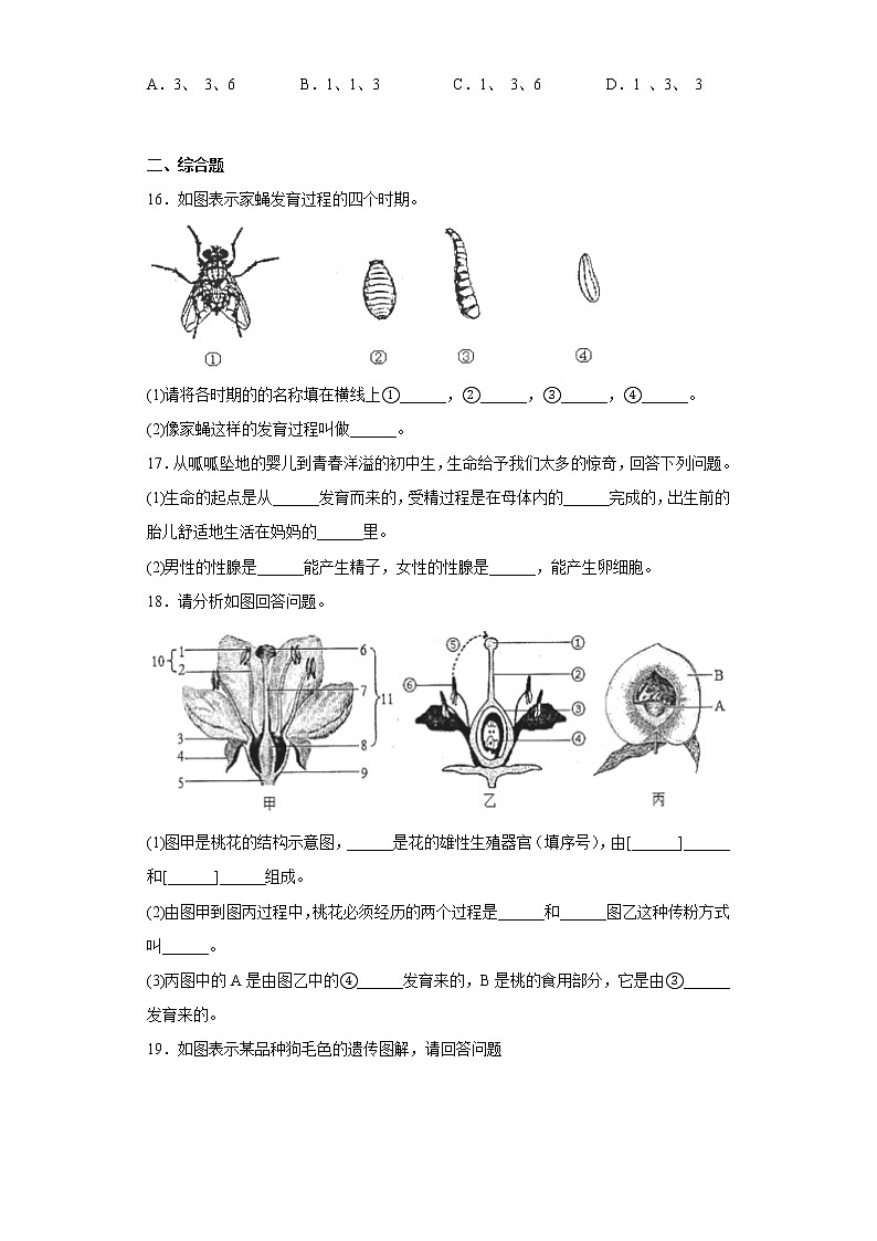 广西防城港市防城区2021-2022学年八年级下学期期中生物试题(含答案)03