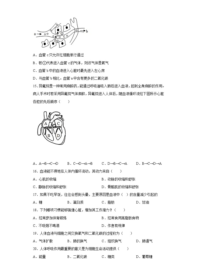 福建省龙岩市新罗区2021-2022学年七年级下学期期中生物试题(含答案)第3页
