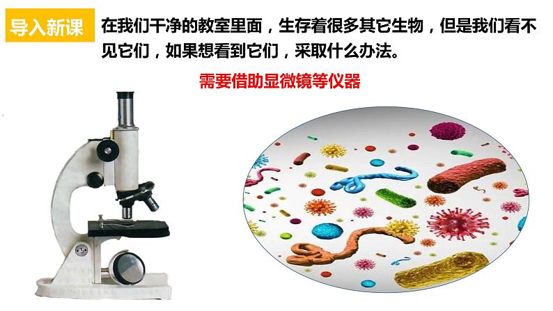 2.1.1 练习使用显微镜(课件+教案+练习)02