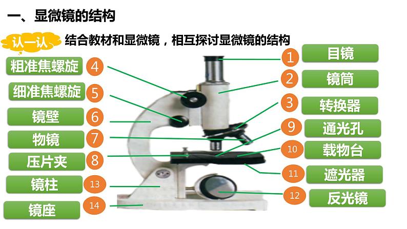 2.1.1 练习使用显微镜(课件+教案+练习)06