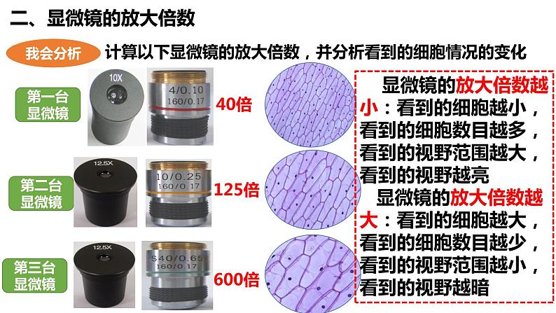 2.1.1 练习使用显微镜(课件+教案+练习)08