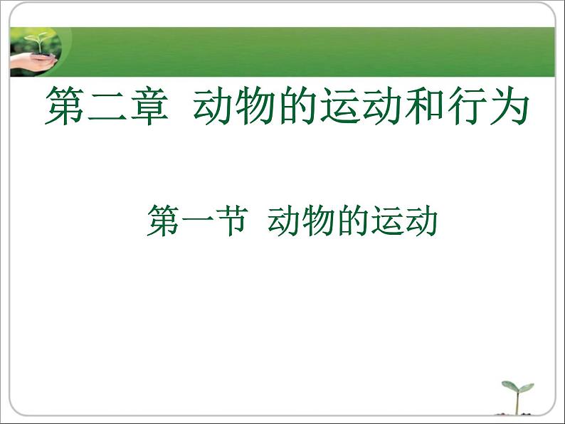 《动物的运动》课件第1页