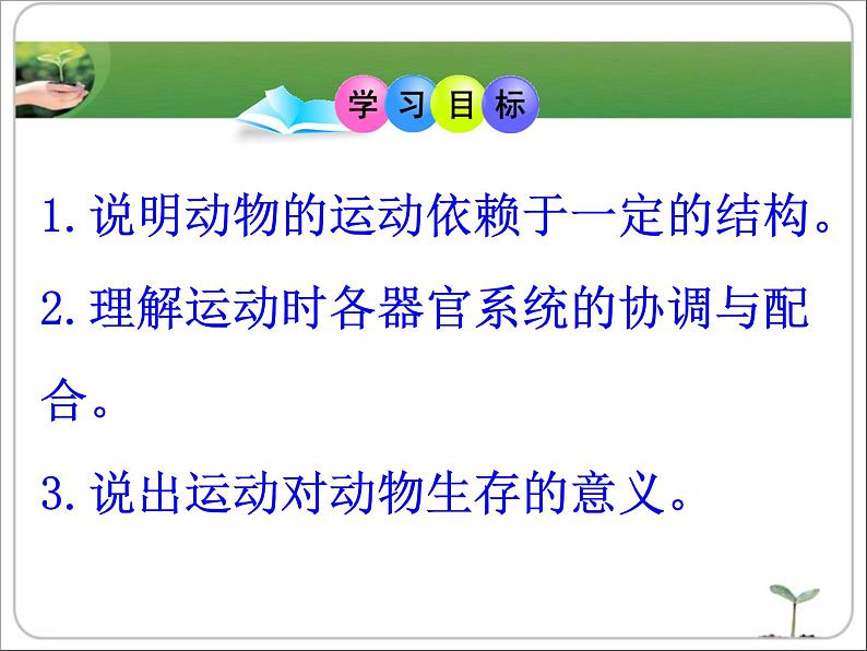 《动物的运动》课件第2页