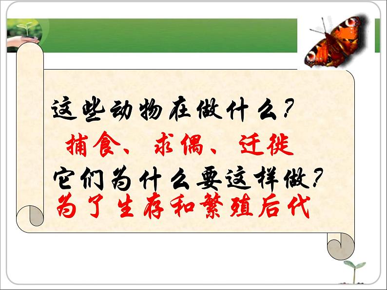 《动物的运动》课件第8页