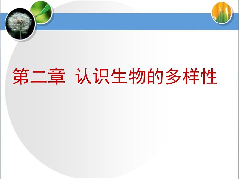 《认识生物的多样性》课件第2页