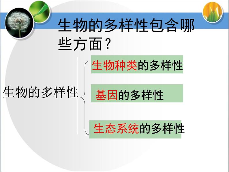 《认识生物的多样性》课件第3页