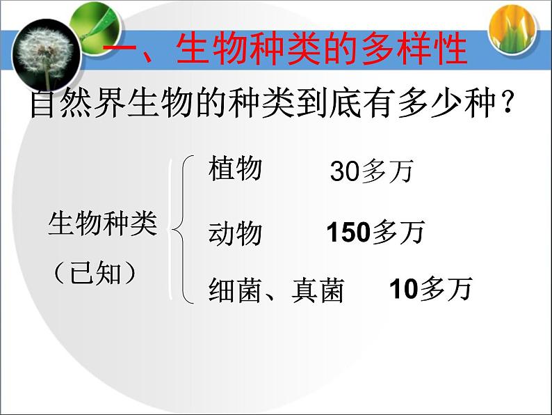 《认识生物的多样性》课件第4页