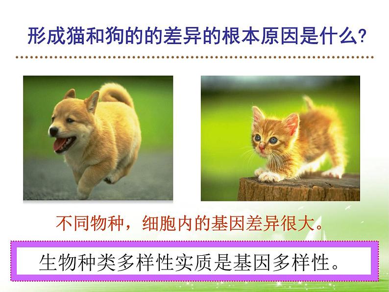 《认识生物的多样性》课件第7页