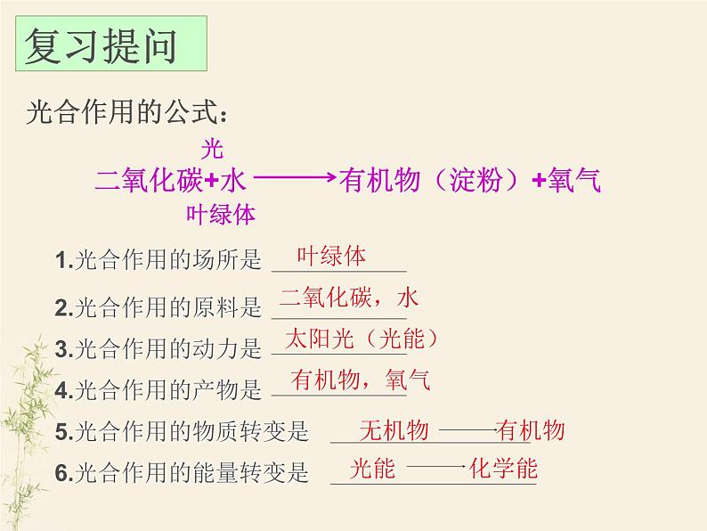 第二节 绿色植物的呼吸作用-课件第4页