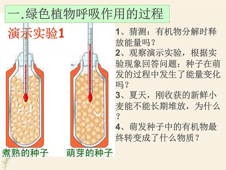 第二节 绿色植物的呼吸作用-课件第7页