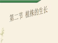 初中生物人教版 (新课标)七年级上册第二节 植株的生长多媒体教学课件ppt