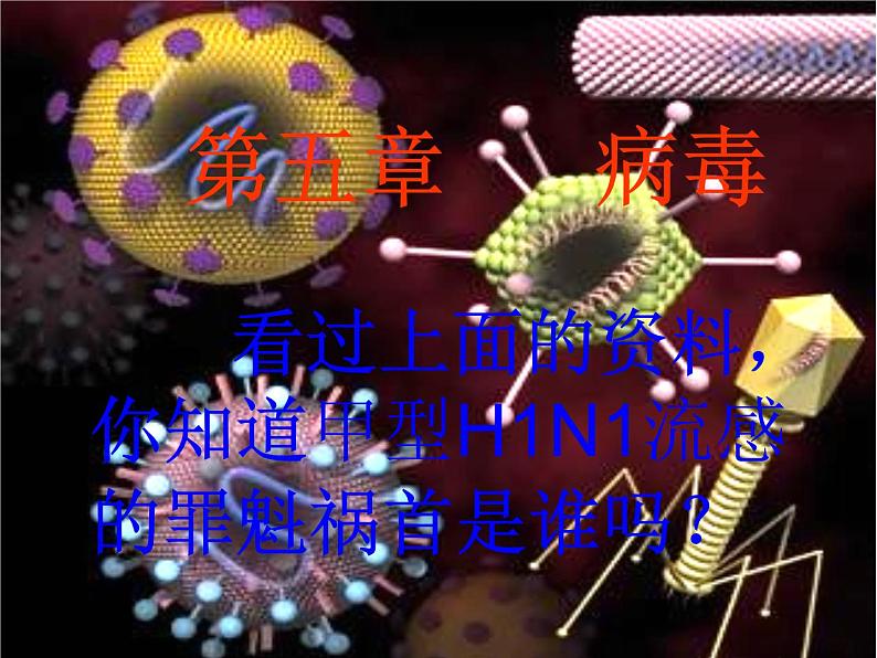 人教版八年级生物上册第五单元第五章病毒课件02