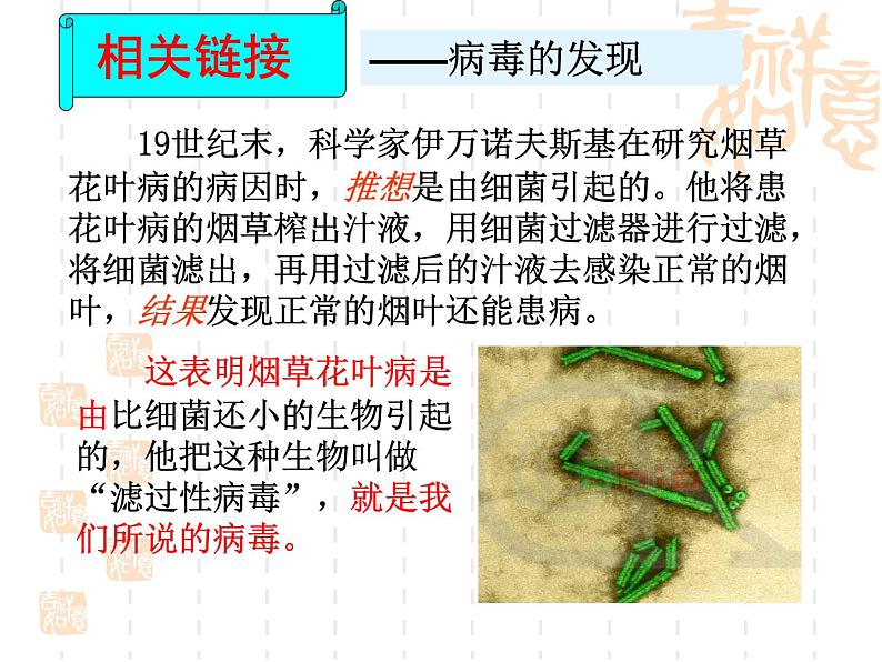 人教版八年级生物上册第五单元第五章病毒课件04