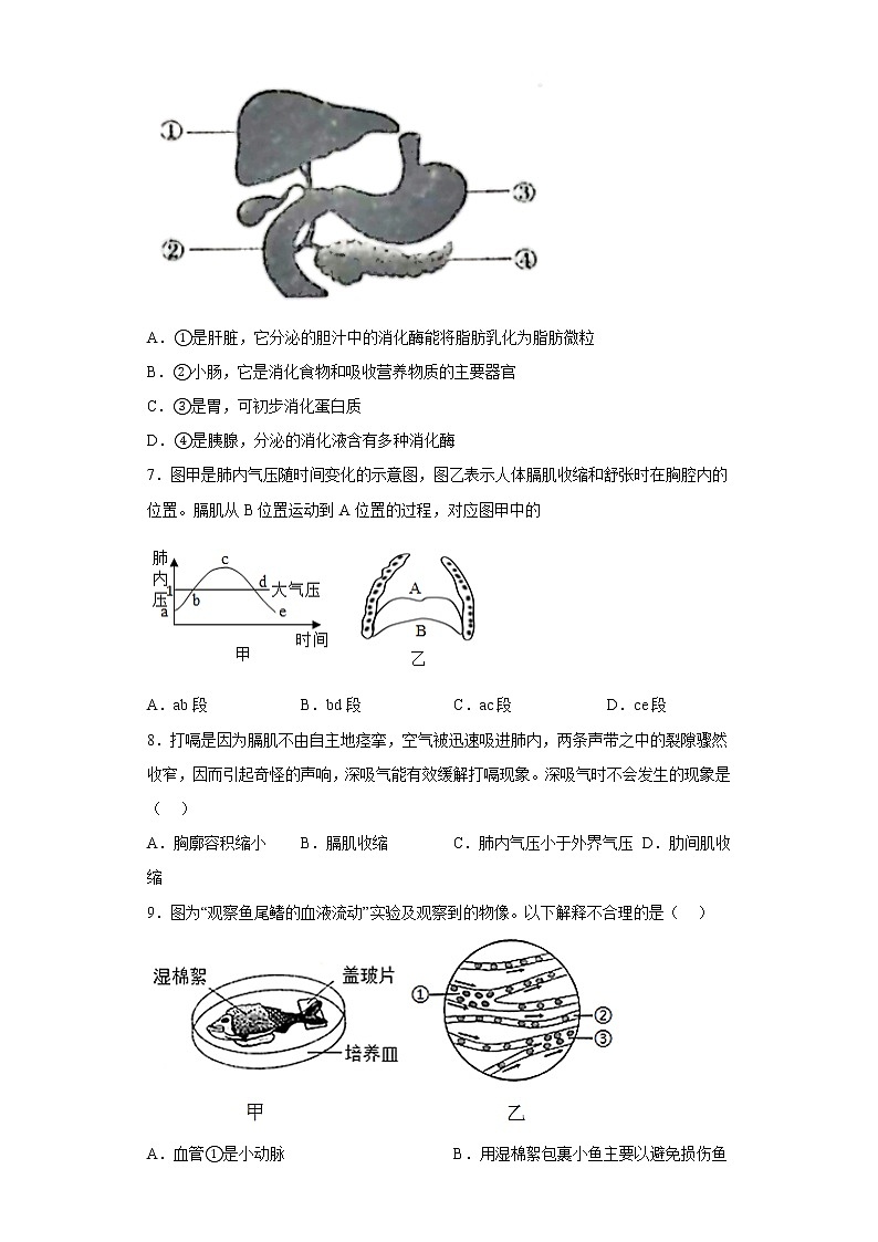 河南省三門峽市2021-2022學(xué)年七年級下學(xué)期期末生物試題(含答案)第2頁